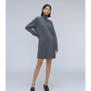 NWT Everlane The Cozy Stretch Turtleneck Dress